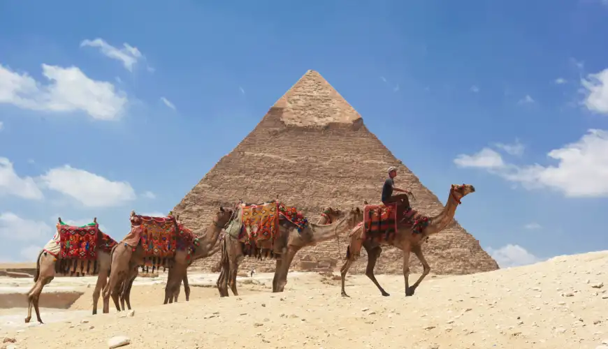 Camel riding at the pyramids area