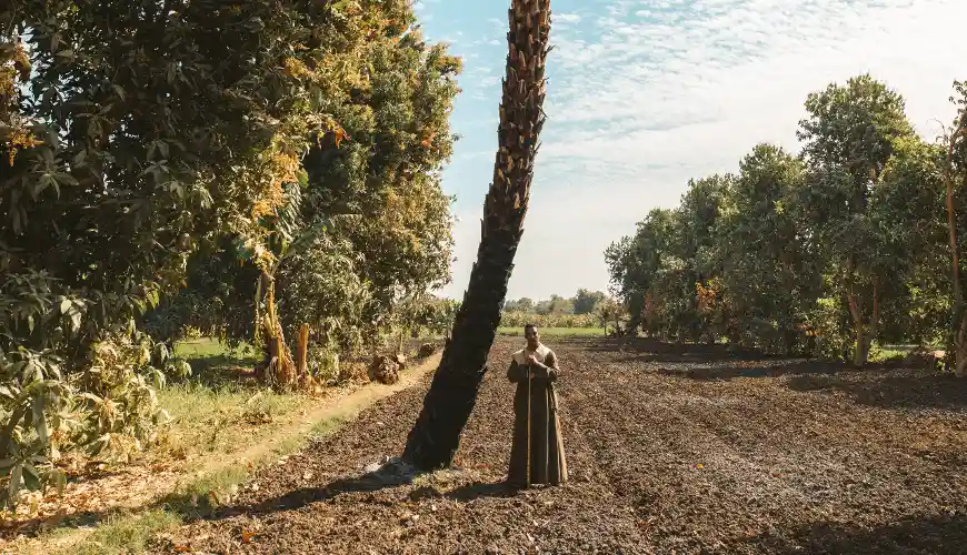 An Egyptian Farmer standing in his field